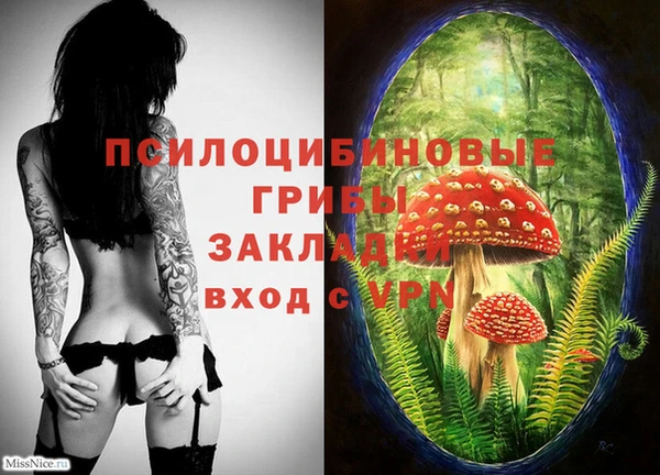 дмт Абинск