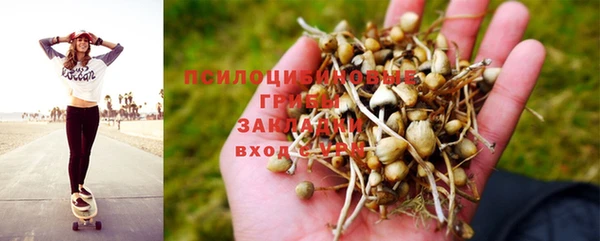 дмт Абинск