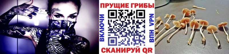 Галлюциногенные грибы MAGIC MUSHROOMS  цены   ссылка на мегу ТОР  Азнакаево 